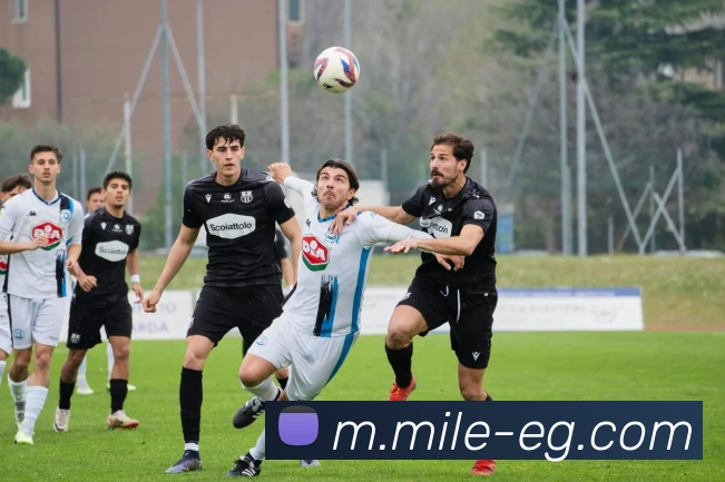 体育直播服务